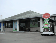 サンプル
